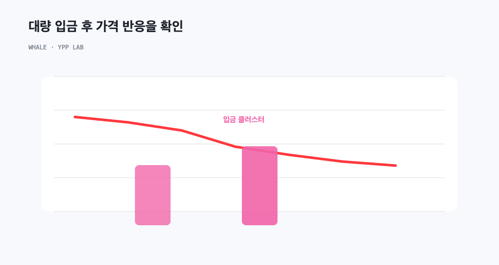 대량 입금 후 가격 반응을 확인